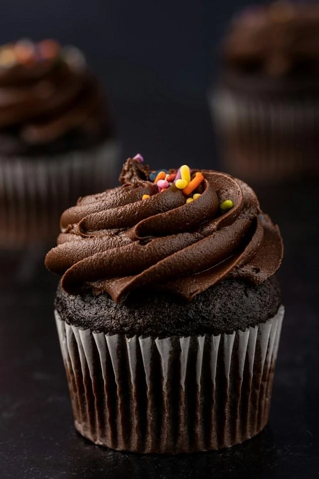 Chocolate cupcake with chocolate frosting